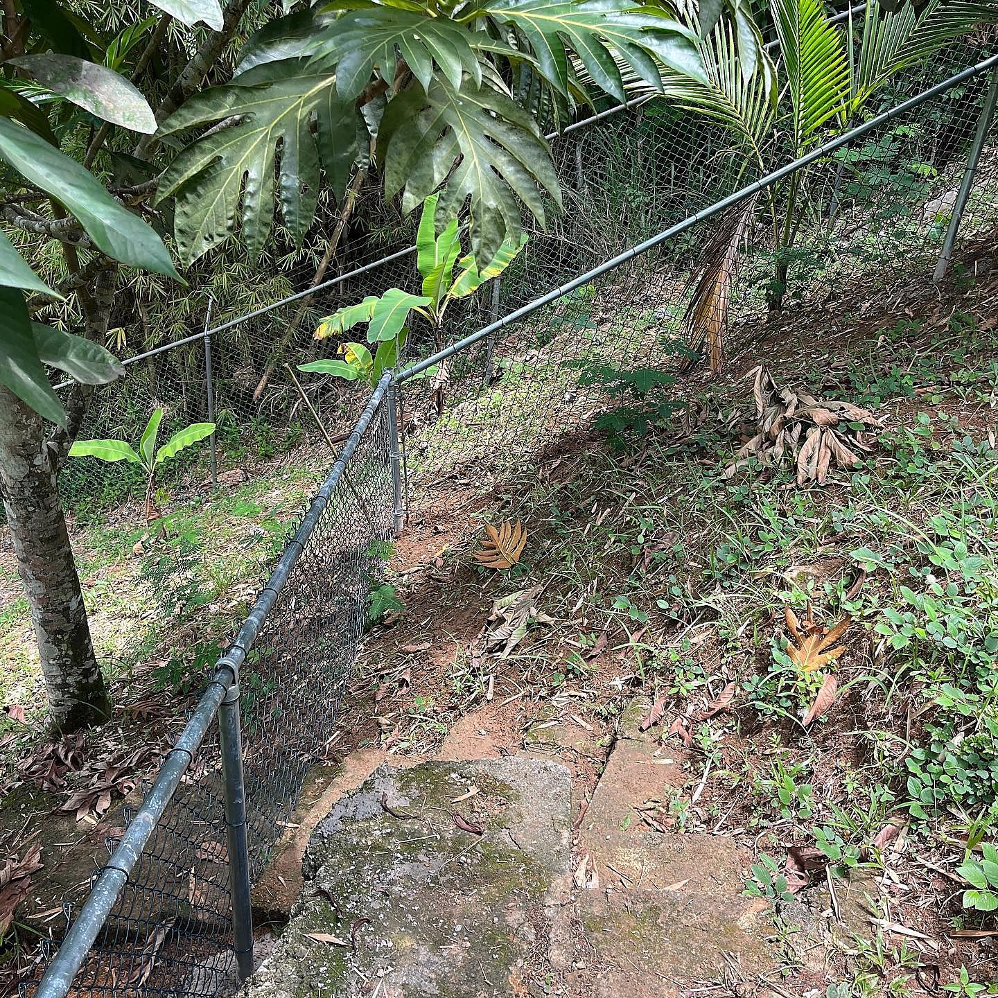 Stadium Gardens project